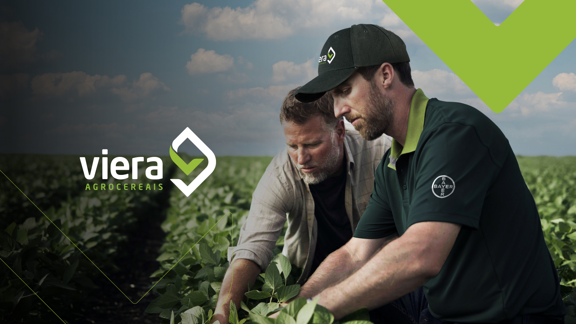 Portfolio Agência Jung Marca Viera Agrocereais - 