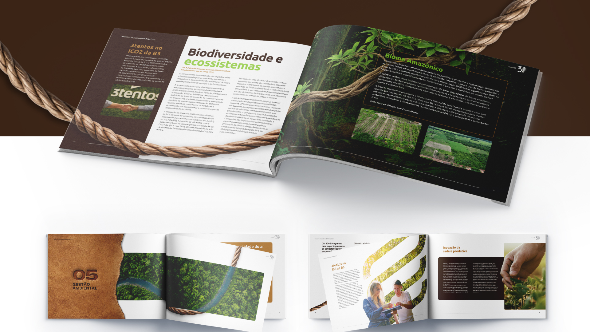 Portfolio Agência Jung Relatório de Sustentabilidade 2025 - 3tentos